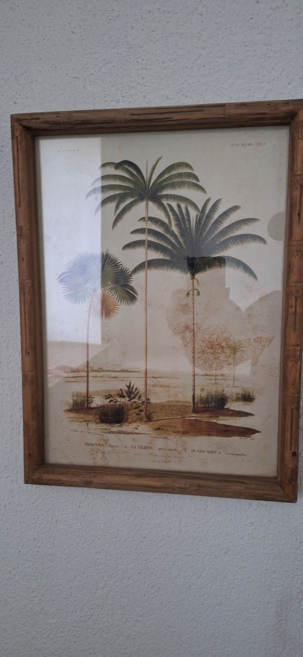 Poster & Bilder: Bild Palmen Motiv gerahmt mit Glas – Gebraucht aus Luzern von Briefmarkentaube 1