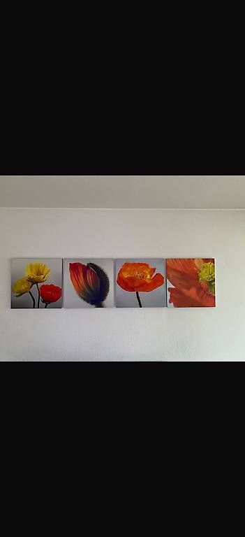Foto & Immagini: Bilder Magnet mit Blume – Usato da Zürich venduto da pinish 2