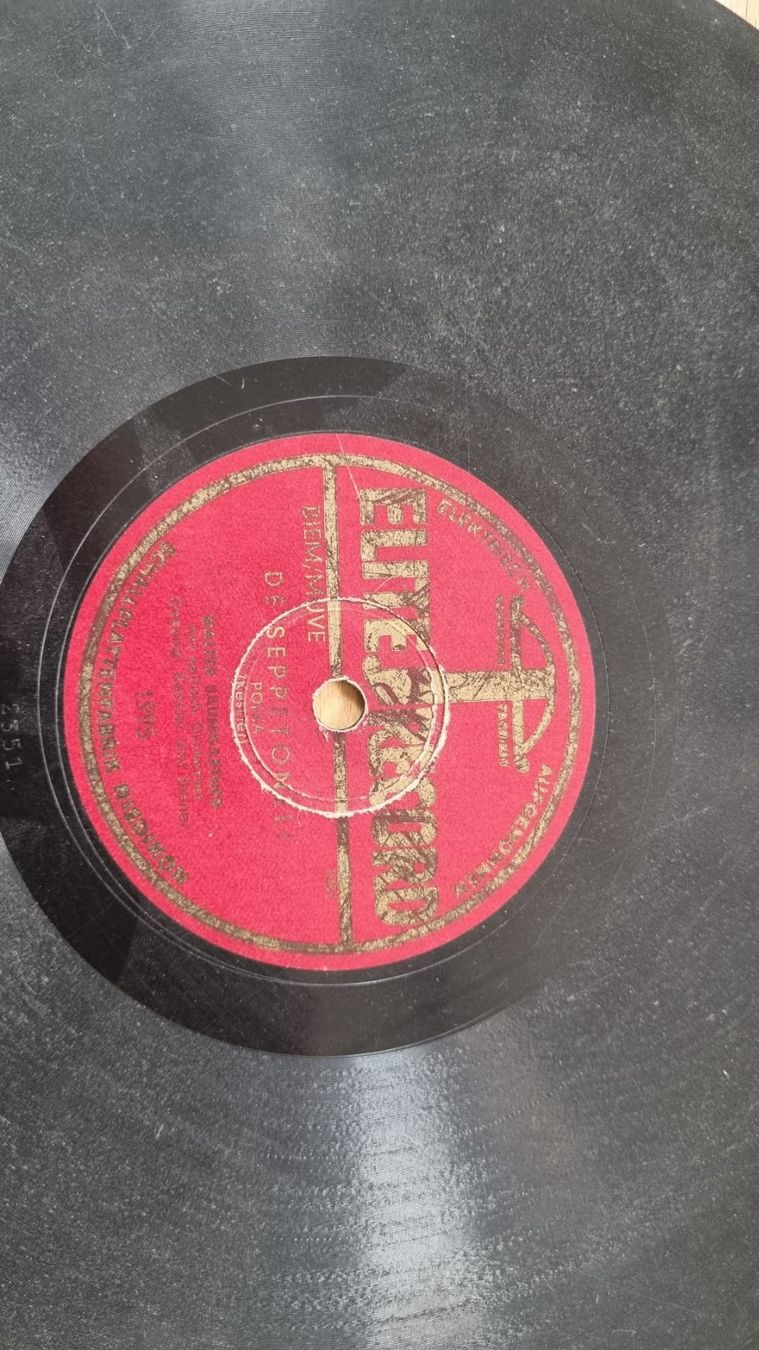 Giradischi: Plattenspieler (33) mit Platten – Usato da Seedorf UR venduto da kal_gvj5 3