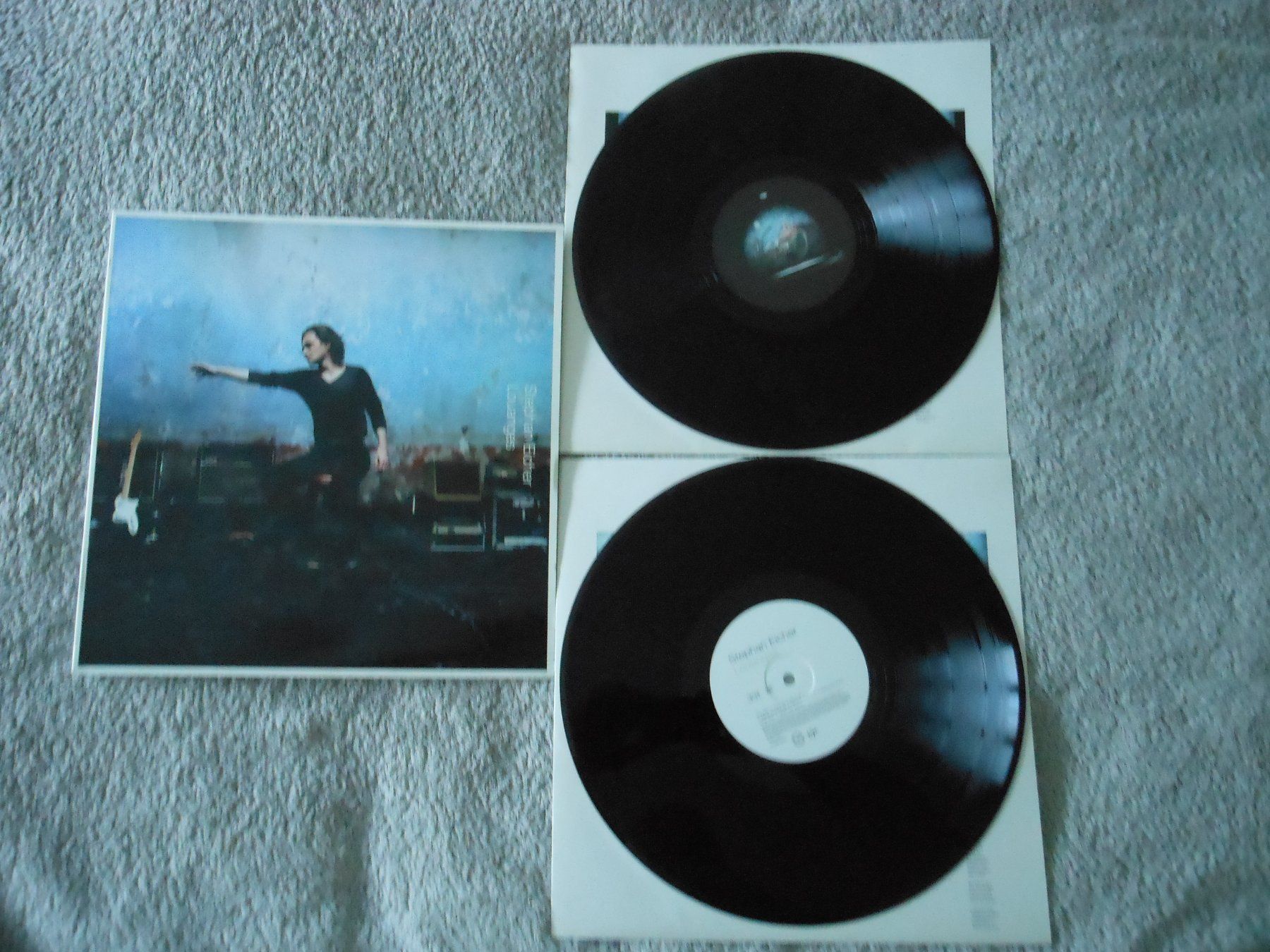 Dischi in vinile: Stephan Eicher – Louanges – Usato da Liebefeld venduto da type013