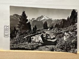 AK von Riederalp Casselweg mit Bergpanorama