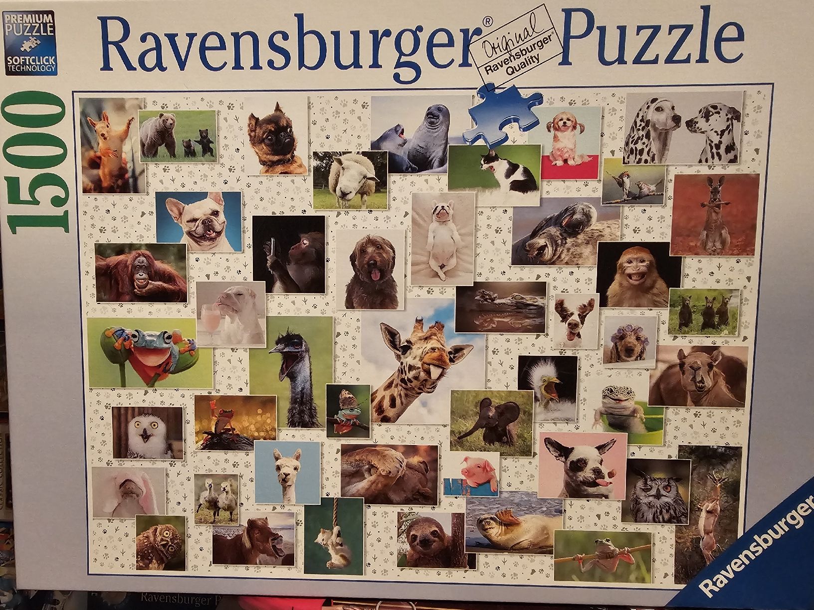 Ravensburger Puzzle: Ravensburger Puzzle "Hunde" 1500 Teile – Nuovo (secondo la descrizione) da Bütschwil venduto da Taranabo 1