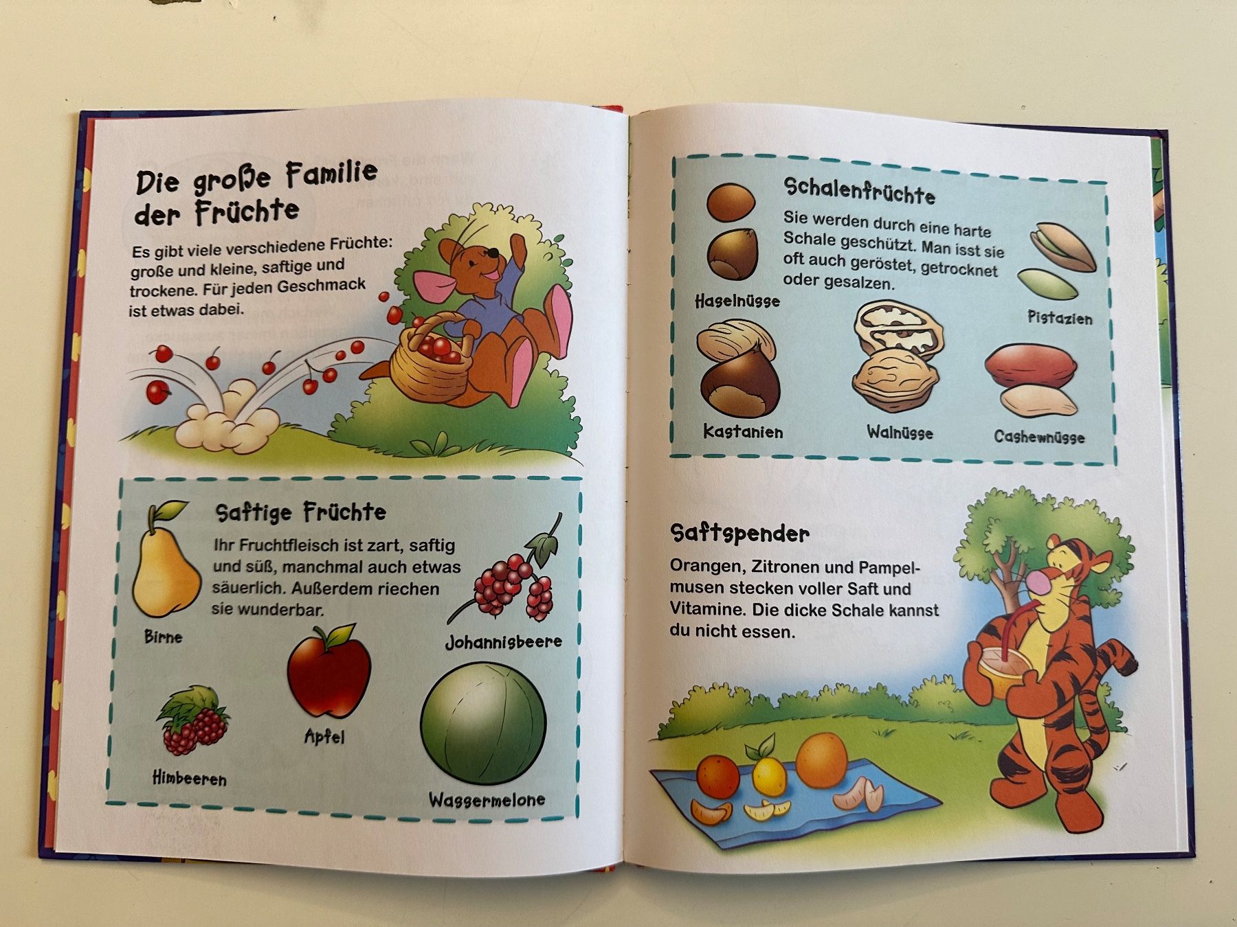 Libri: Winnie Puuh - Entdecke die Früchte – Usato da Münsingen venduto da Ganjam 4