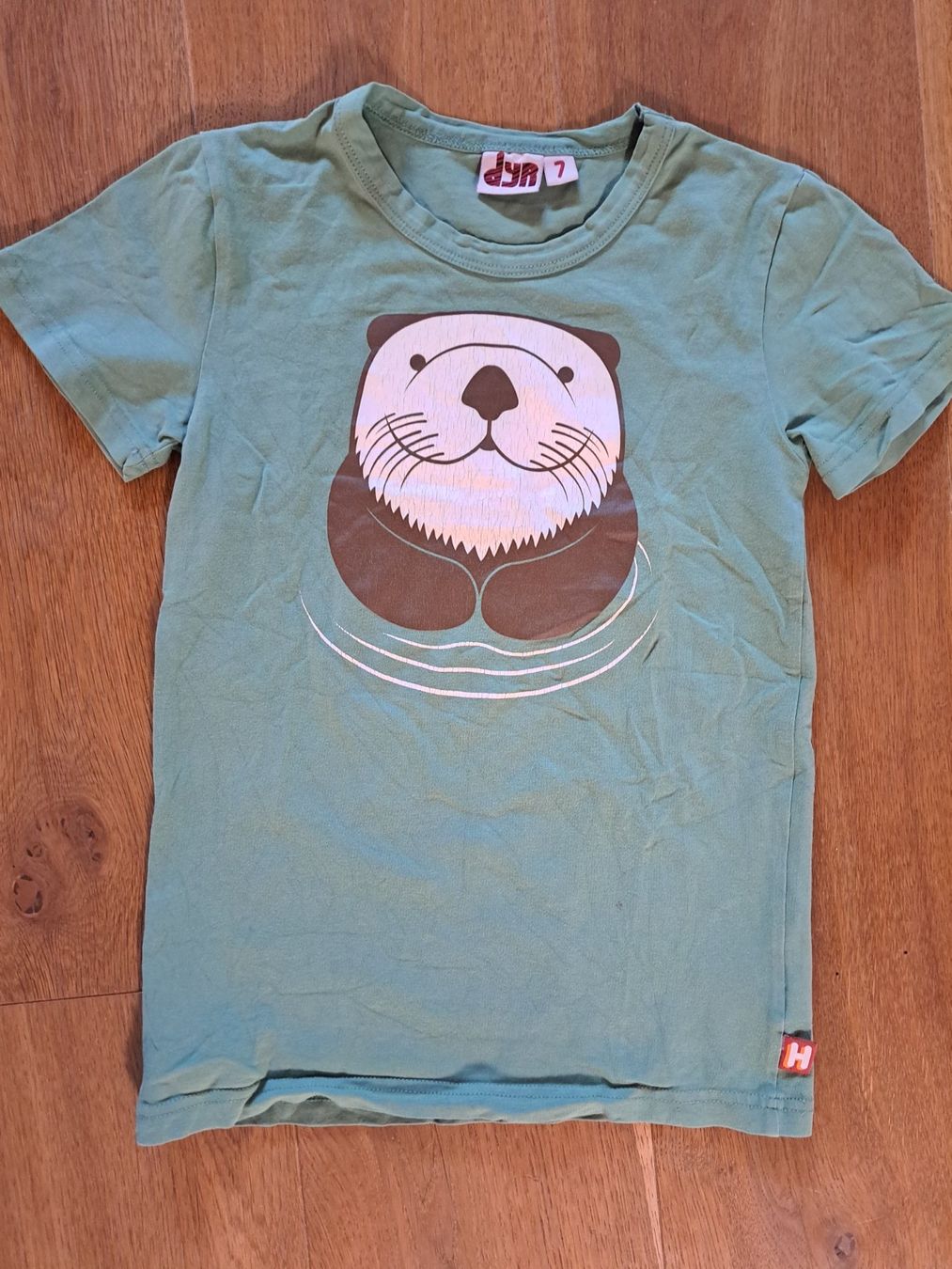 Camicie, T-shirt & Polo: T-Shirt Dyr Gr. 128 – Usato da Büetigen venduto da Schgrr