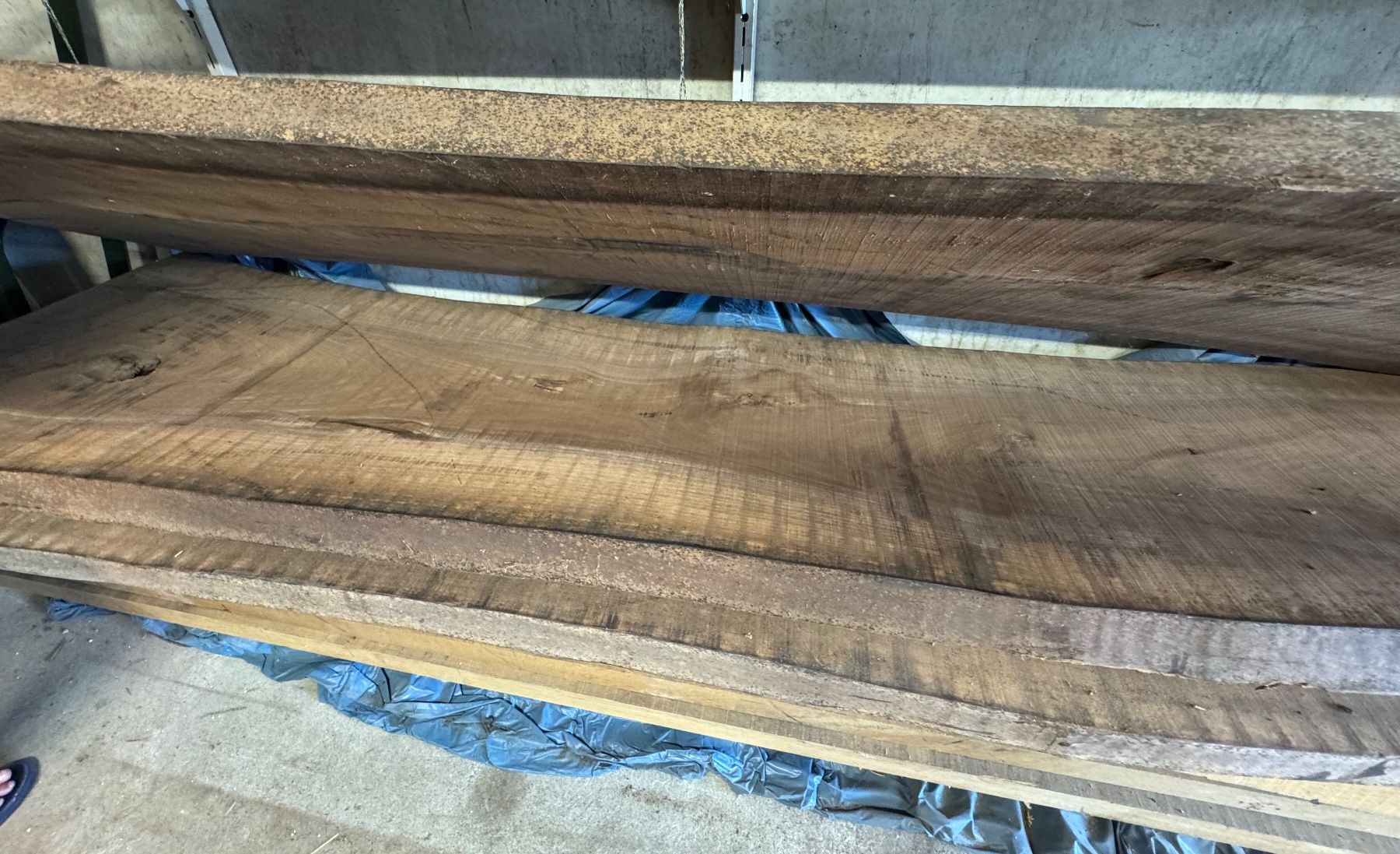 Articles en bois: 3 massive Nussbaum-Bohlen 265 cm – Neuf (Voir description) à Kestenholz par cvx_889vv 1