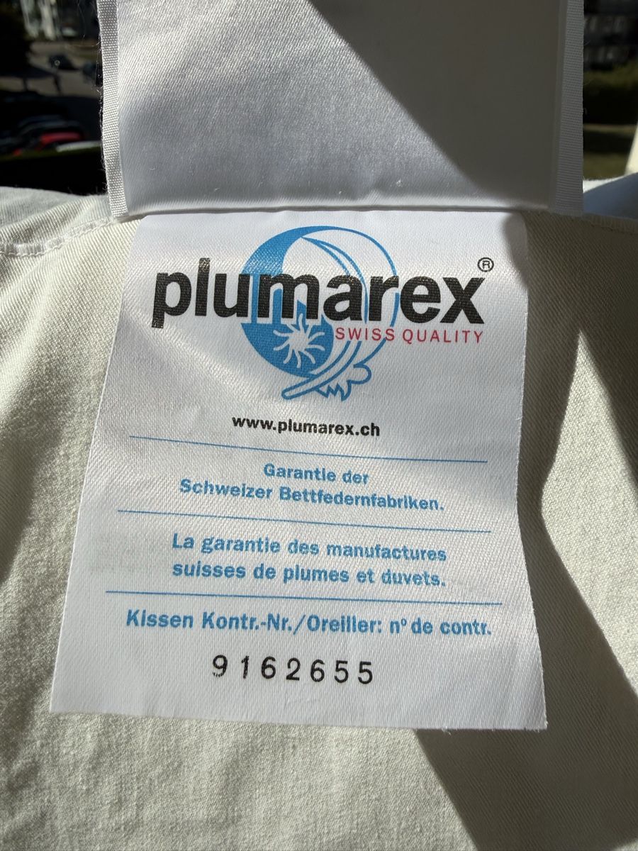 Pfister Cuscini: Kopfkissen NEU – Nuovo (secondo la descrizione) da Winterthur venduto da Montreal63 1