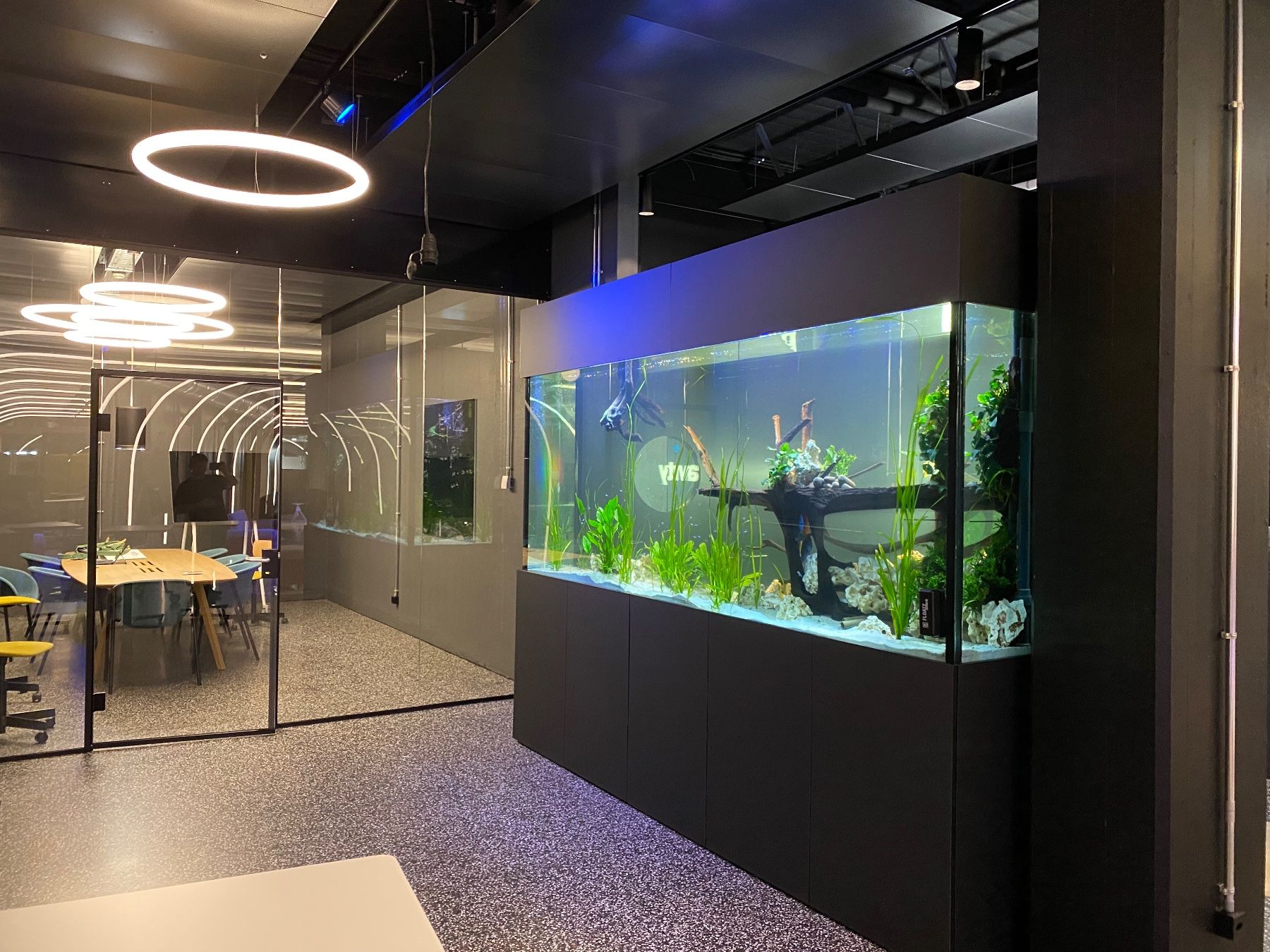 Acquari: Vor-Ort-Verklebung Aquarium – Nuovo (secondo la descrizione) da Berikon venduto da fischundart 6
