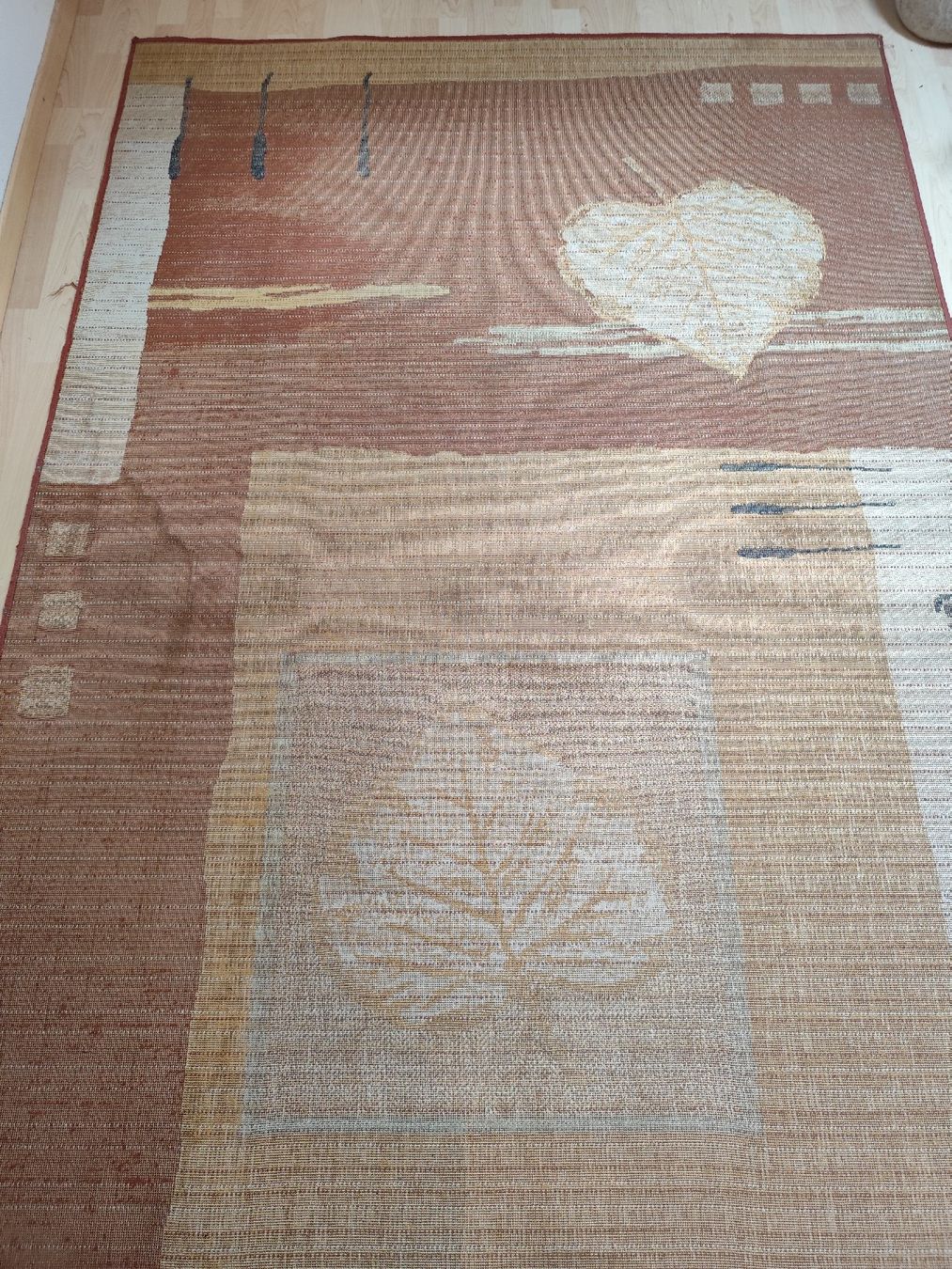 Tappeti: Teppich 233x167 cm – Usato da Bern venduto da Meeresalgen 6