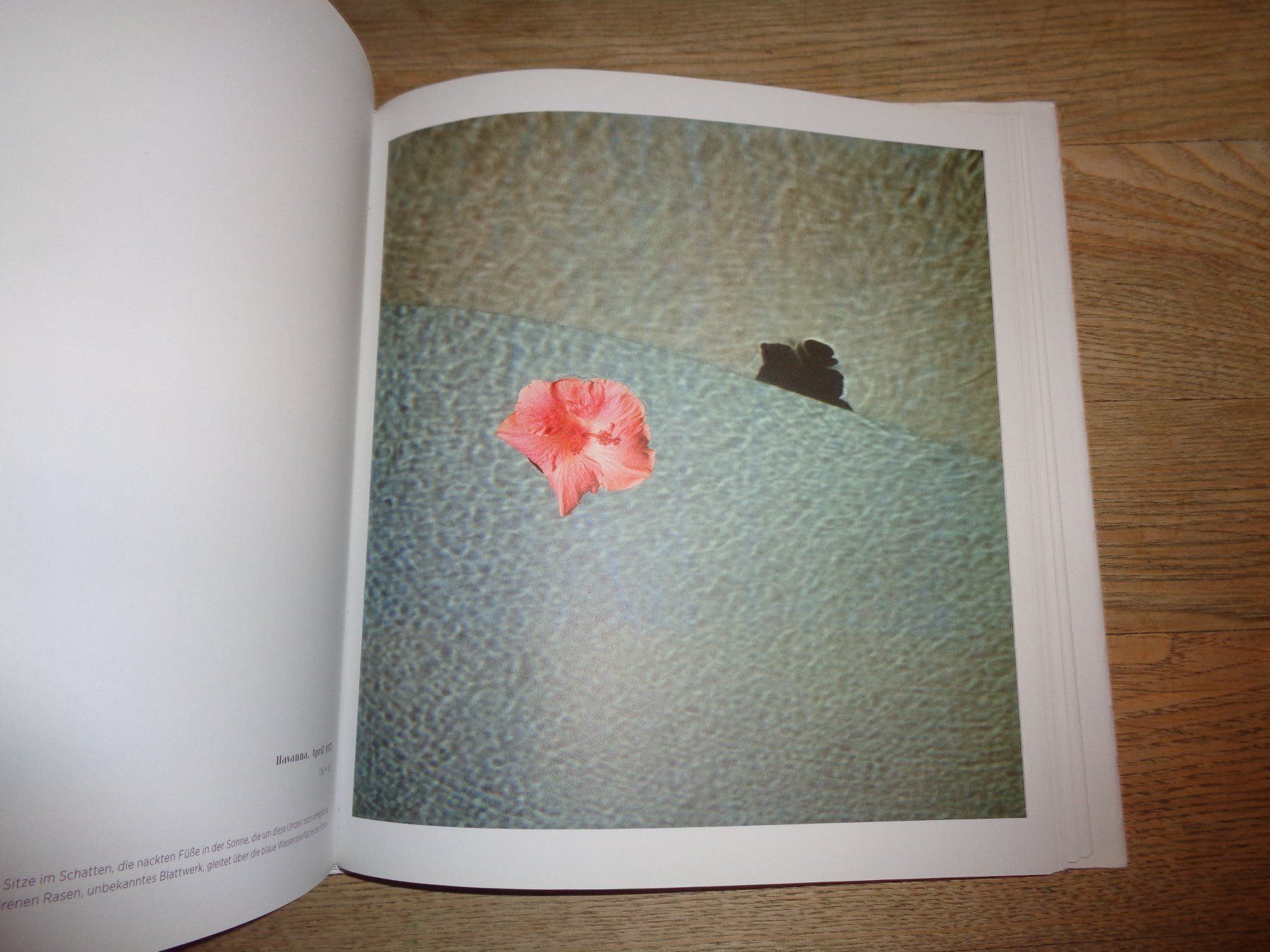 Bücher: Lartigue Fotoklassiker – Gebraucht aus Welschenrohr von Regool 4