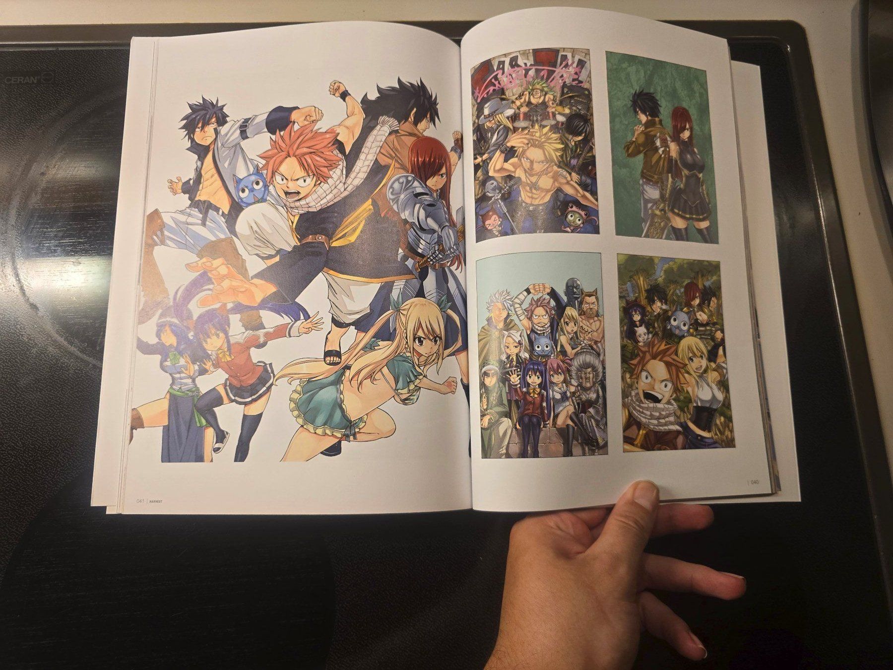 Comics: Fairy Tail Artbook – Gebraucht aus Schaffhausen von K.Ichimaru 3
