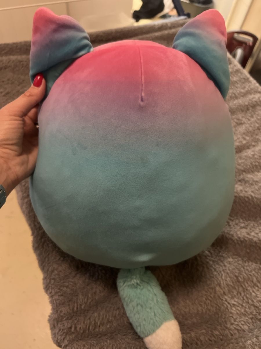 Squishmallows Jouets: Squishmallows Plüschtier – D'occasion à Laufen par Nachlasverkauf 1