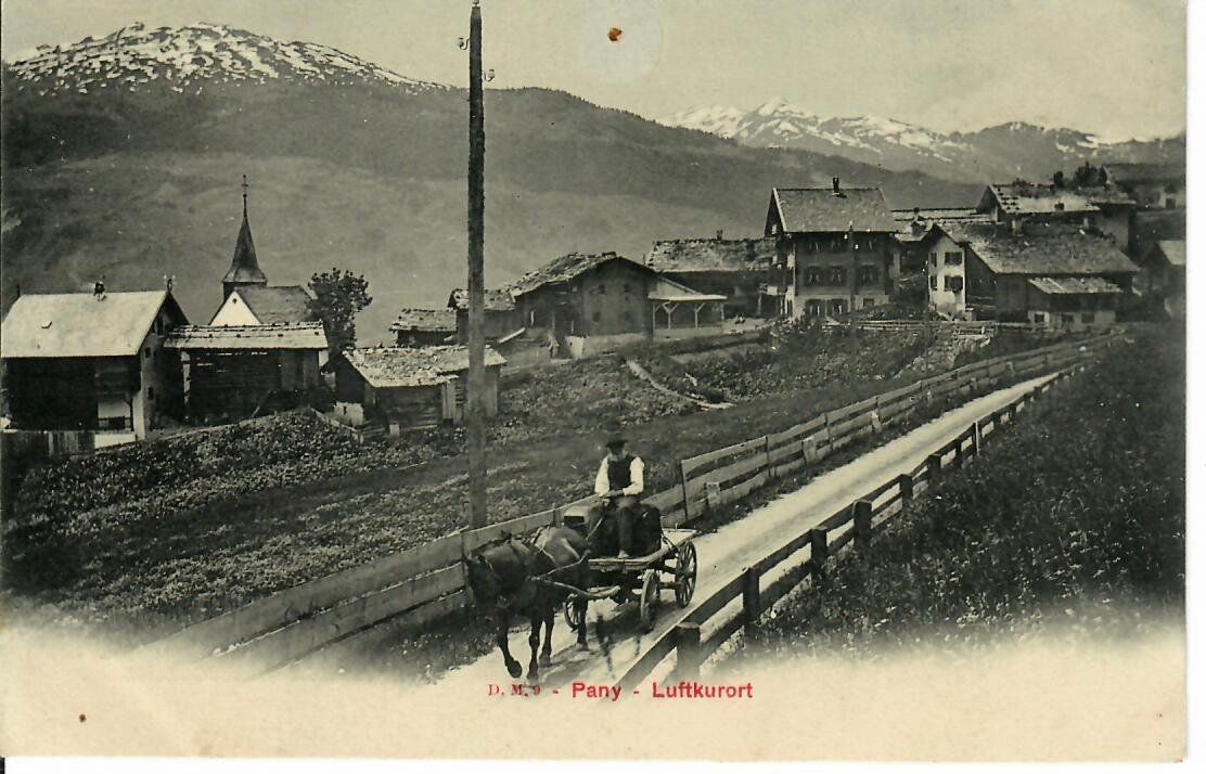 Cartoline postali: Pany Luftkurort - Pferdefuhrwerk – Usato da Hochdorf venduto da Ziegel-16