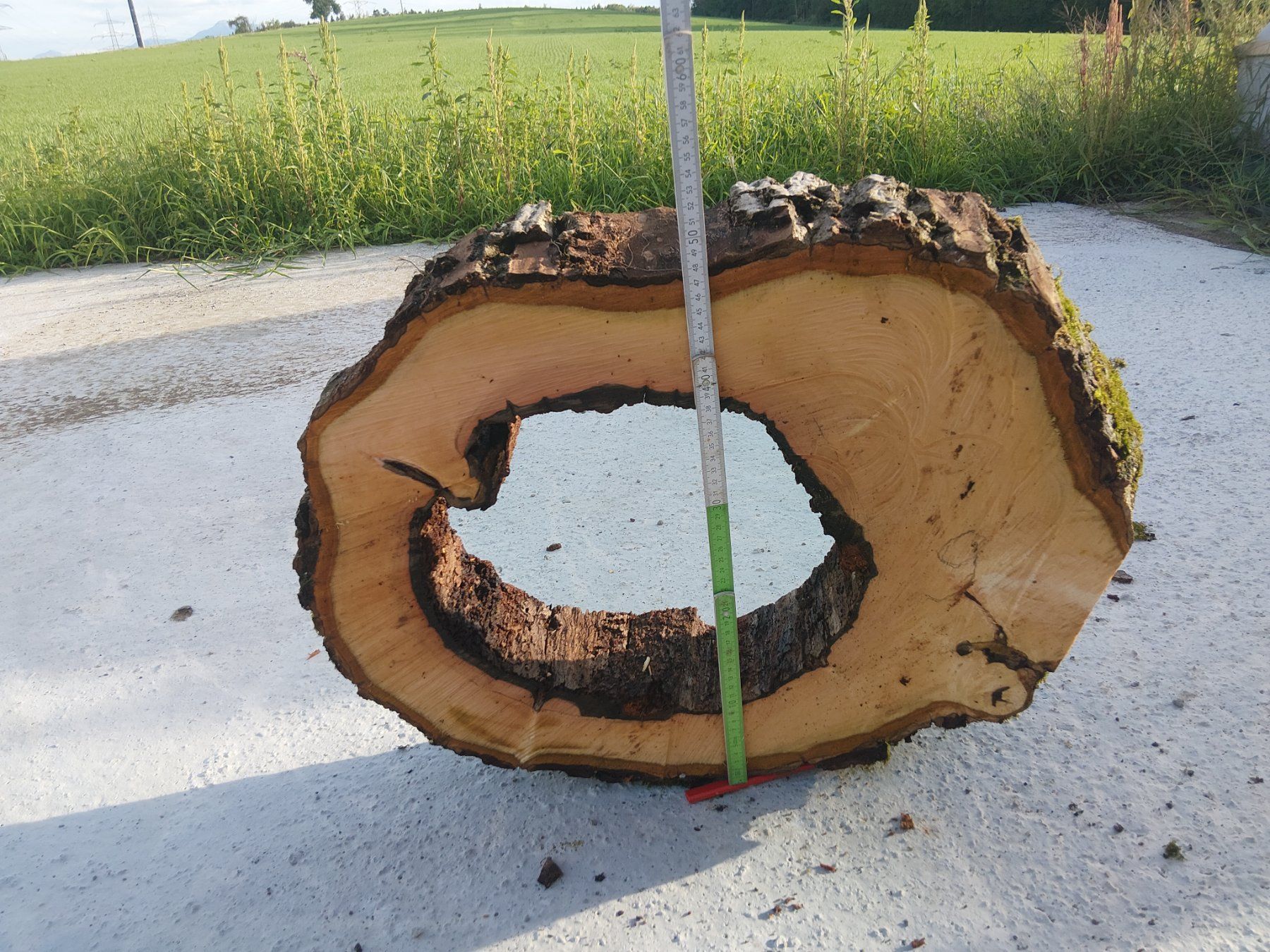 Articoli in legno: Nussbaum Holzscheibe Nr. 9 Dekoration – Nuovo (secondo la descrizione) da Affoltern am Albis venduto da ret_6x6z 1