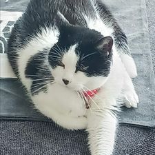 Profile image of erinrose