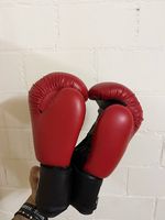 Boxhandschuhe