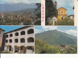 Losone 1984