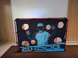 Unihockeygoal mit Netz , Dropnetz und Torwand