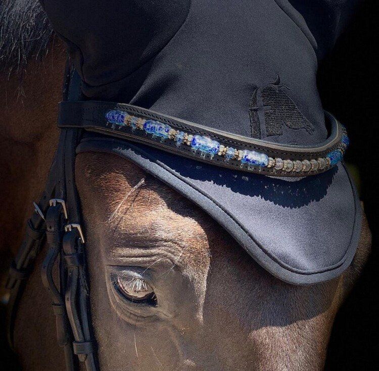 Selle & Accessori: Fenwick Liquid Titanium Ohrhaube Pony Grösse S – Nuovo e nell'imballaggio originale da Beinwil am See venduto da stephanielarsen 2