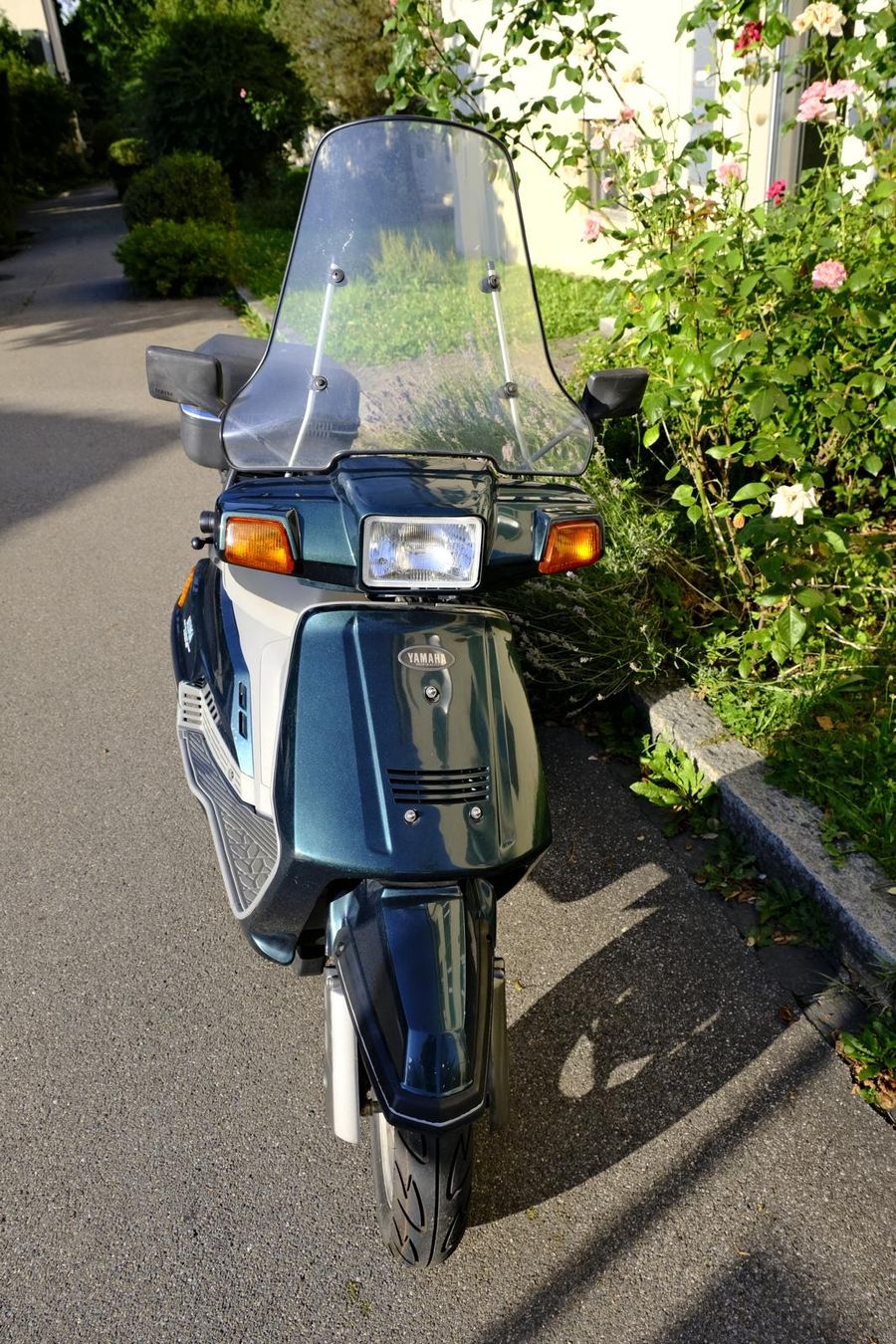 Yamaha Scooter: Yamaha Beluga XC 125 - MFK 01.07.26 – Usato da Zürich venduto da domenag 1
