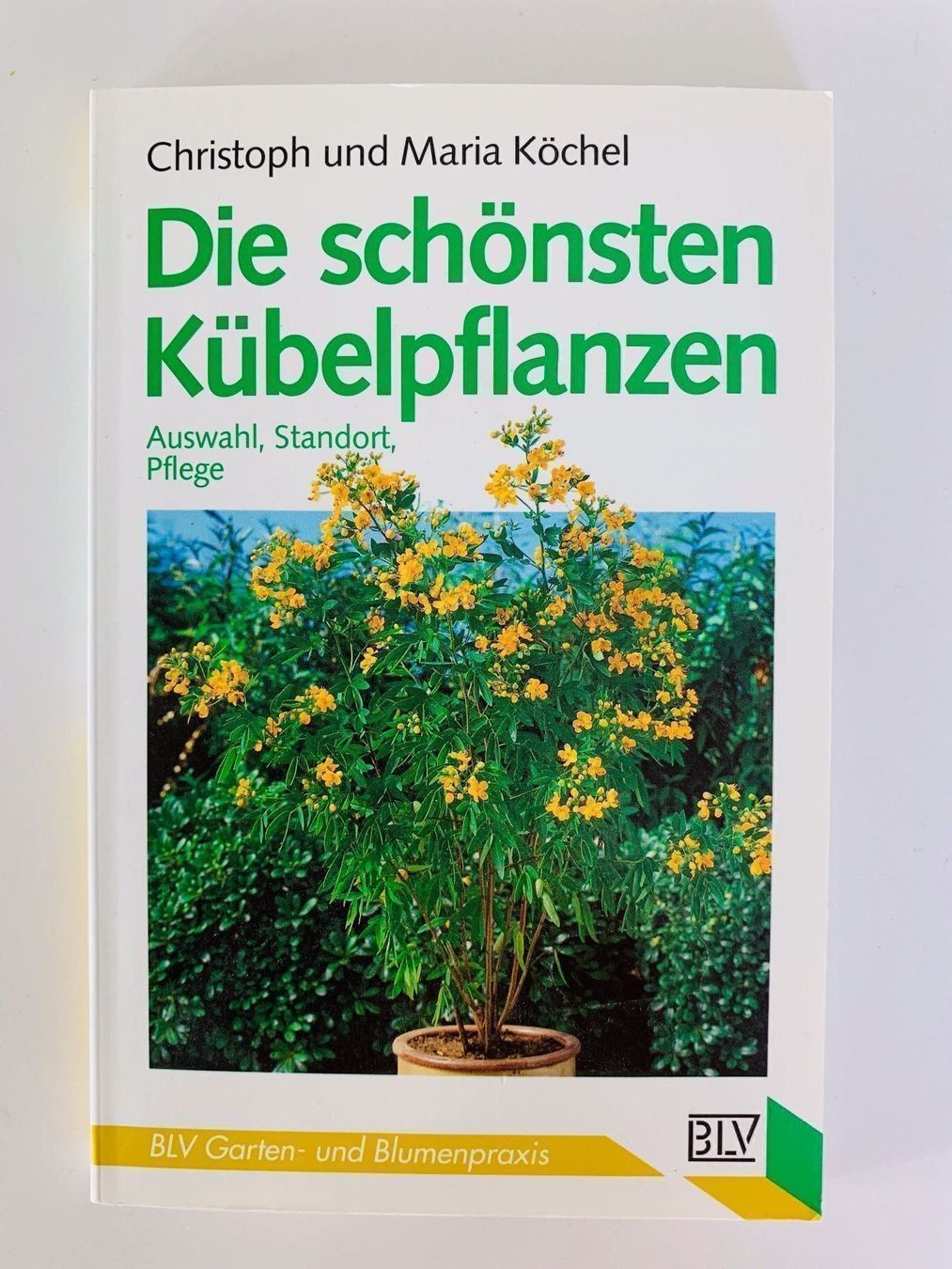 Libri: Die schönsten Kübelpflanzen – Usato da Bottmingen venduto da marktplatz-buecher