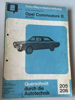 Auto Reparaturanleitung 205/206