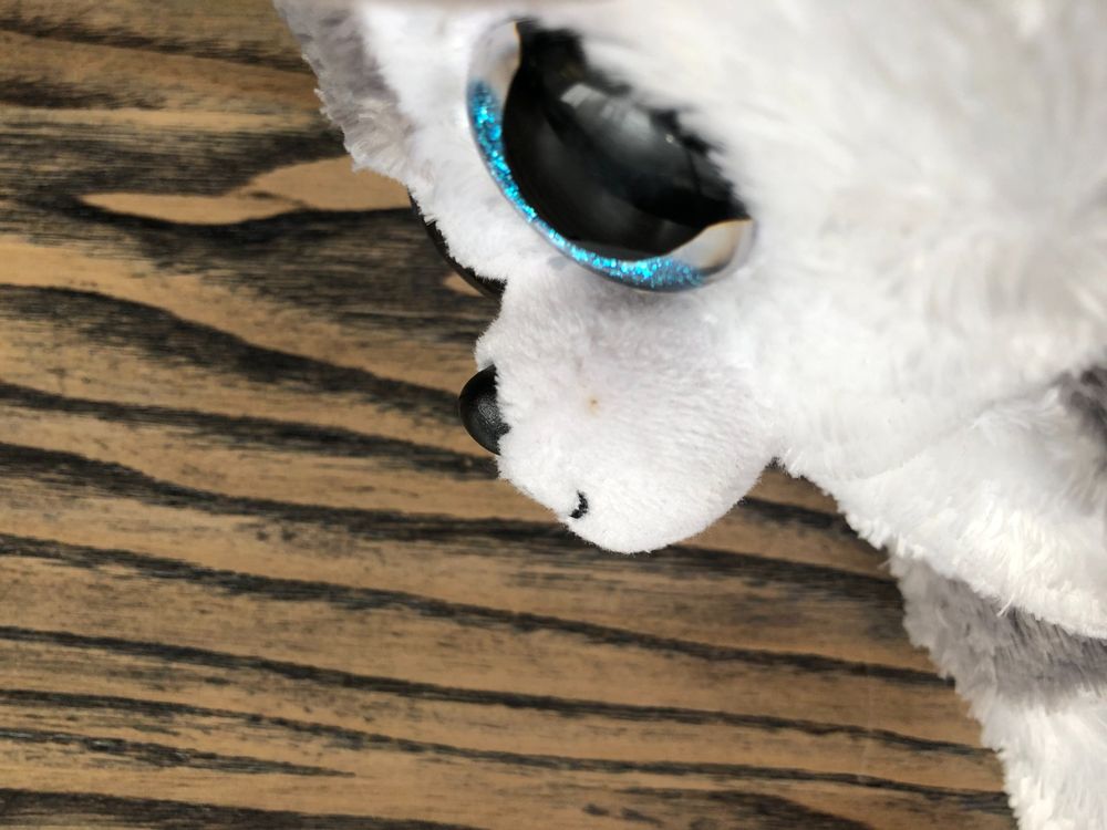 TY Beanie Boos Slush Husky | Kaufen auf Ricardo