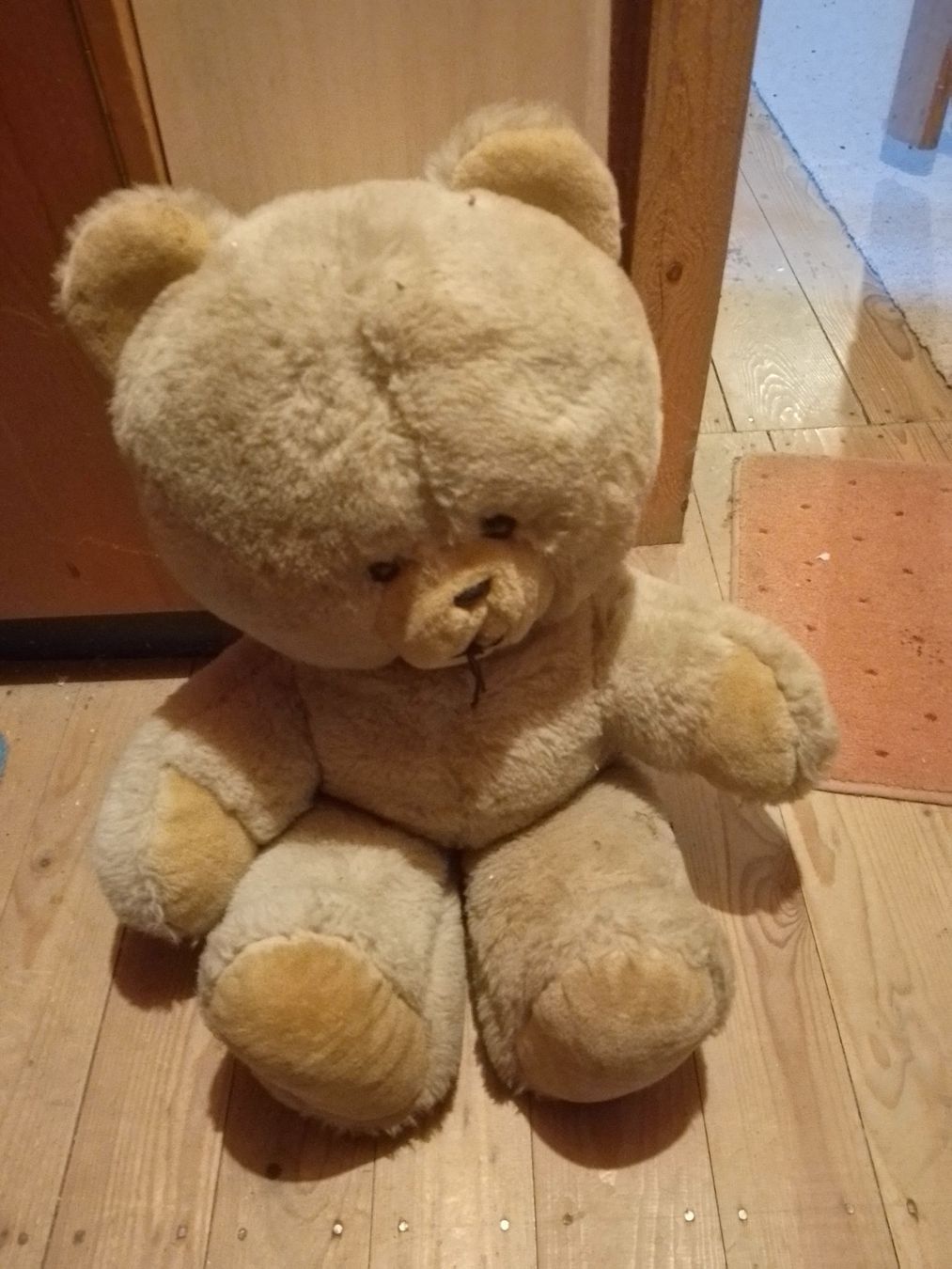 Giocattoli: Hübscher Teddybär – Usato da Weinfelden venduto da PaterPio1968