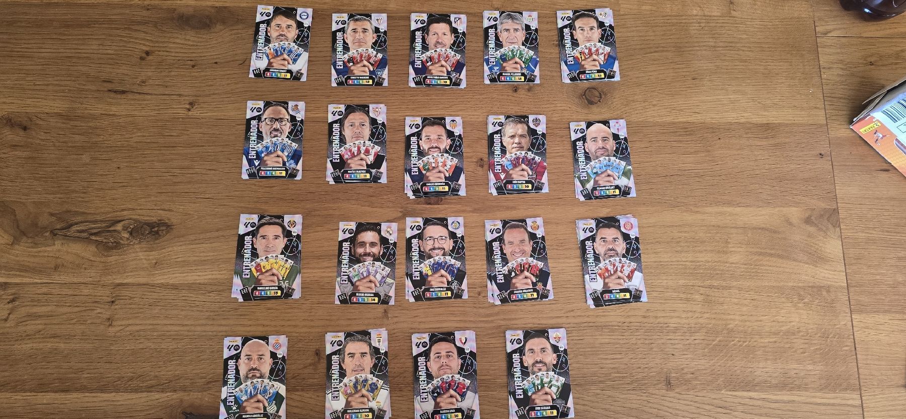 Panini Sammelbilder & Trading cards: Laliga Panini Trener – Gebraucht aus Safnern von Brionne
