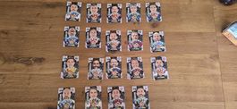 Laliga Panini Trener