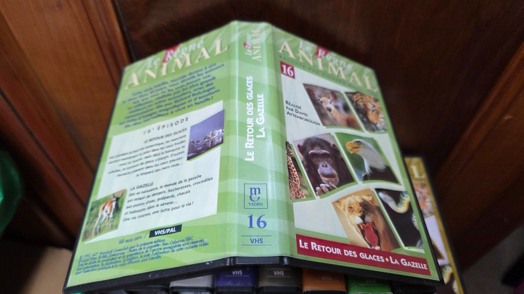 Toutes les VHS: Animal VHS , collection – D'occasion à Bionnens par Meg011 5