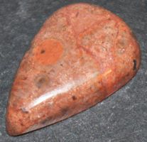 Cabochon L-8258 – Versteinertes Holz 23x15mm