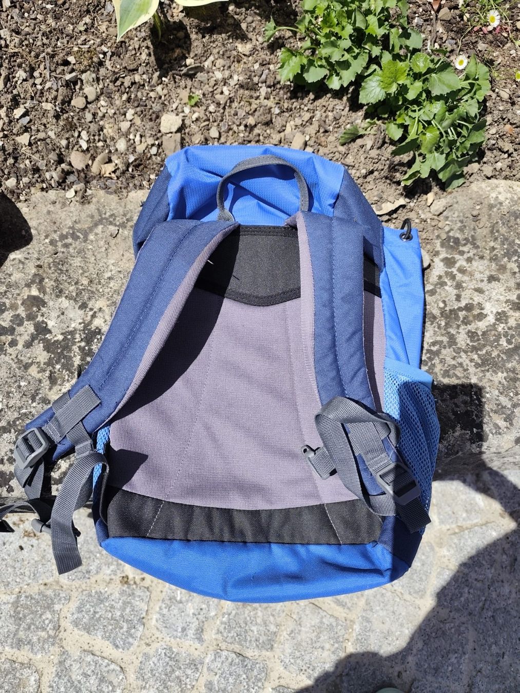 Deuter Borse & Zaini: Kinderrucksack blau, deuter – Usato da Zürich venduto da Eszter4 1