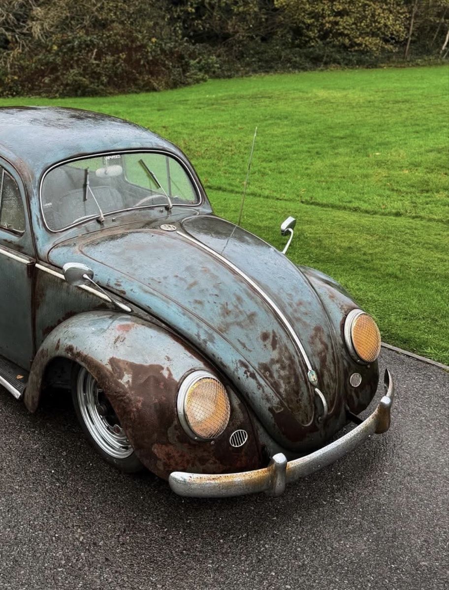 VW Tutti pezzi di ricambio auto: Gitter Scheinwerfer VW Käfer – Usato da Horgen venduto da nut_tn9j
