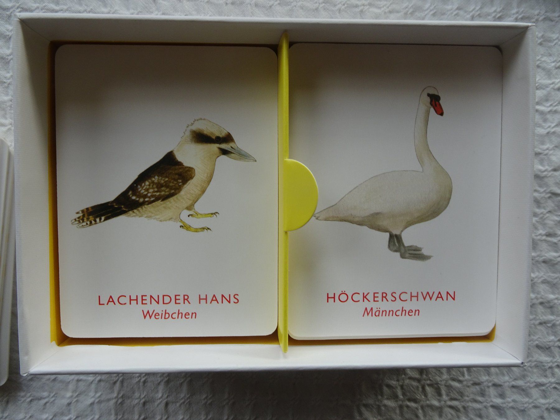Giochi: Vogelpaare - Memo-Spiel – Nuovo (secondo la descrizione) da männedorf venduto da purzelchen 4