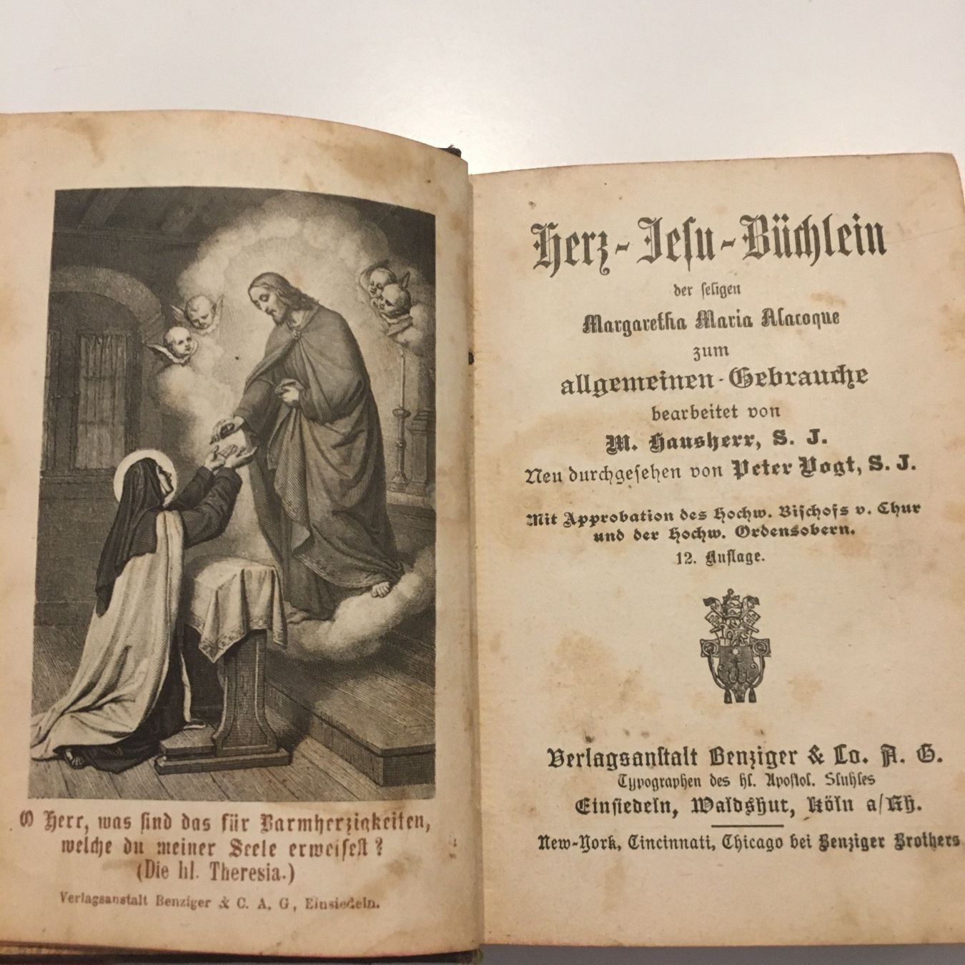 Libri: Bibel von 1907 – Usato da Monte Carasso venduto da Mi3Or 1