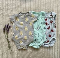 3 x Body für den Sommer ☀️