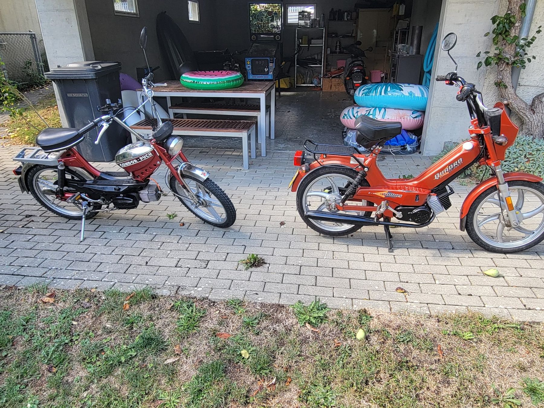 Cyclomoteurs: a vendre puch x30 et Tomos Quadro – D'occasion à Tavannes par Jessica28 1