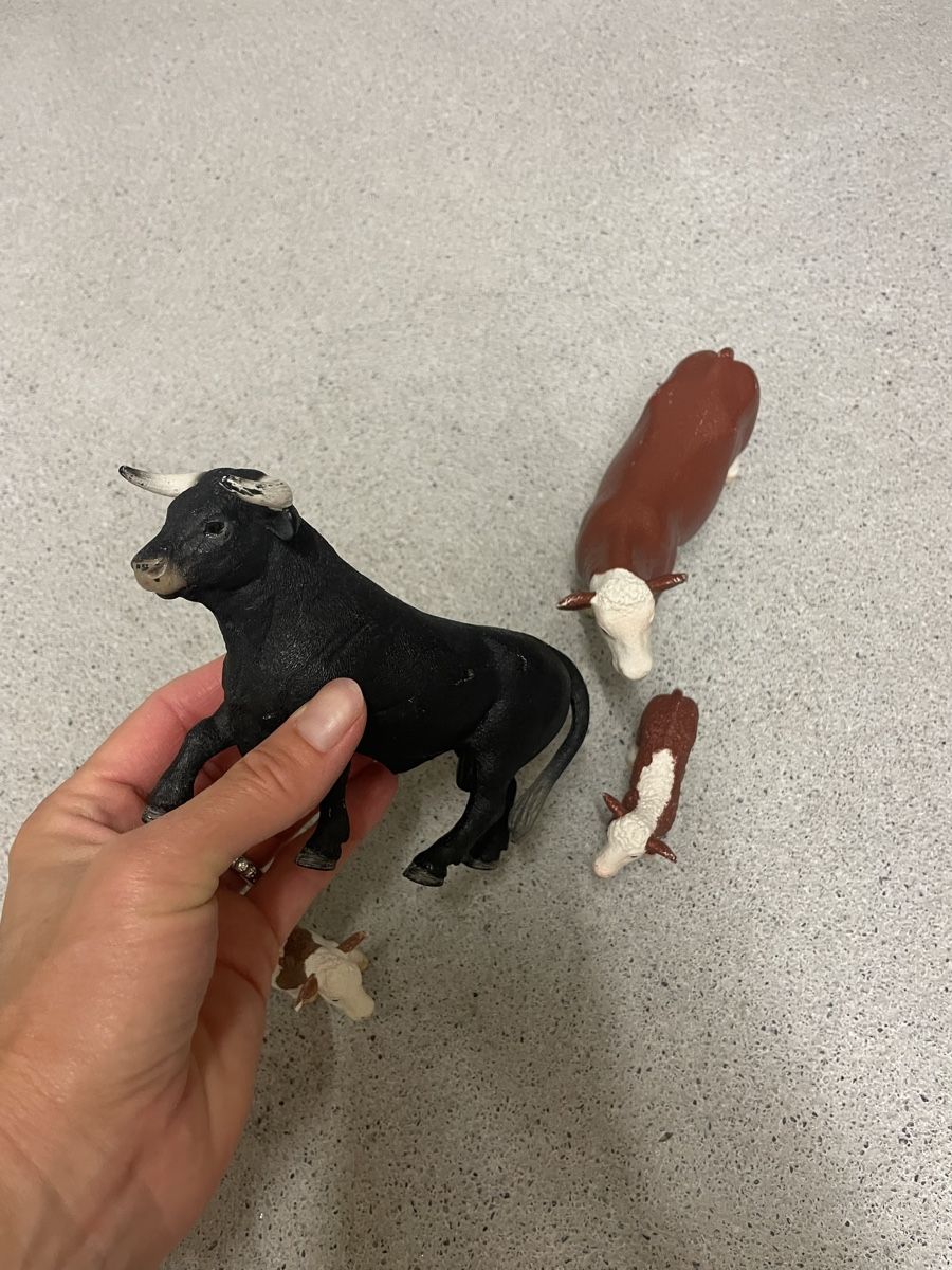 Schleich Statuette: Schleichkühe – Usato da Walchwil venduto da Pirib82 2