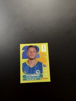 Panini Ermedin Demirovic BIH 17