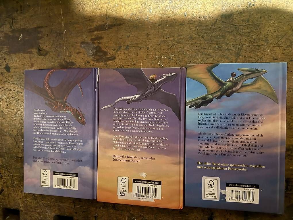 Libri: Drachensturmbücher – Usato da Bonaduz venduto da aye_qh6g 1