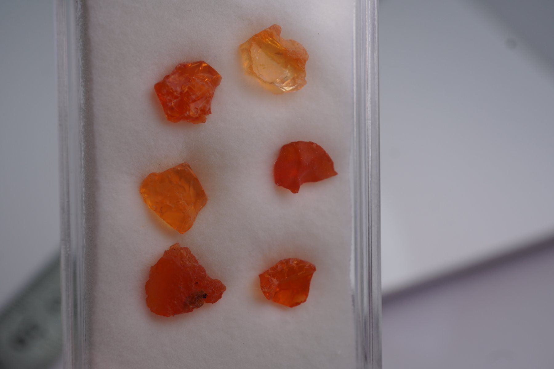 Minerali & Pietre curative: Feuer opal Mexico  Roh       im Böxli no2 – Nuovo e nell'imballaggio originale da Eschenbach SG venduto da topstone 5