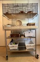 Hamsterparadies mit viel Zubehör und IKEA Servierwagen