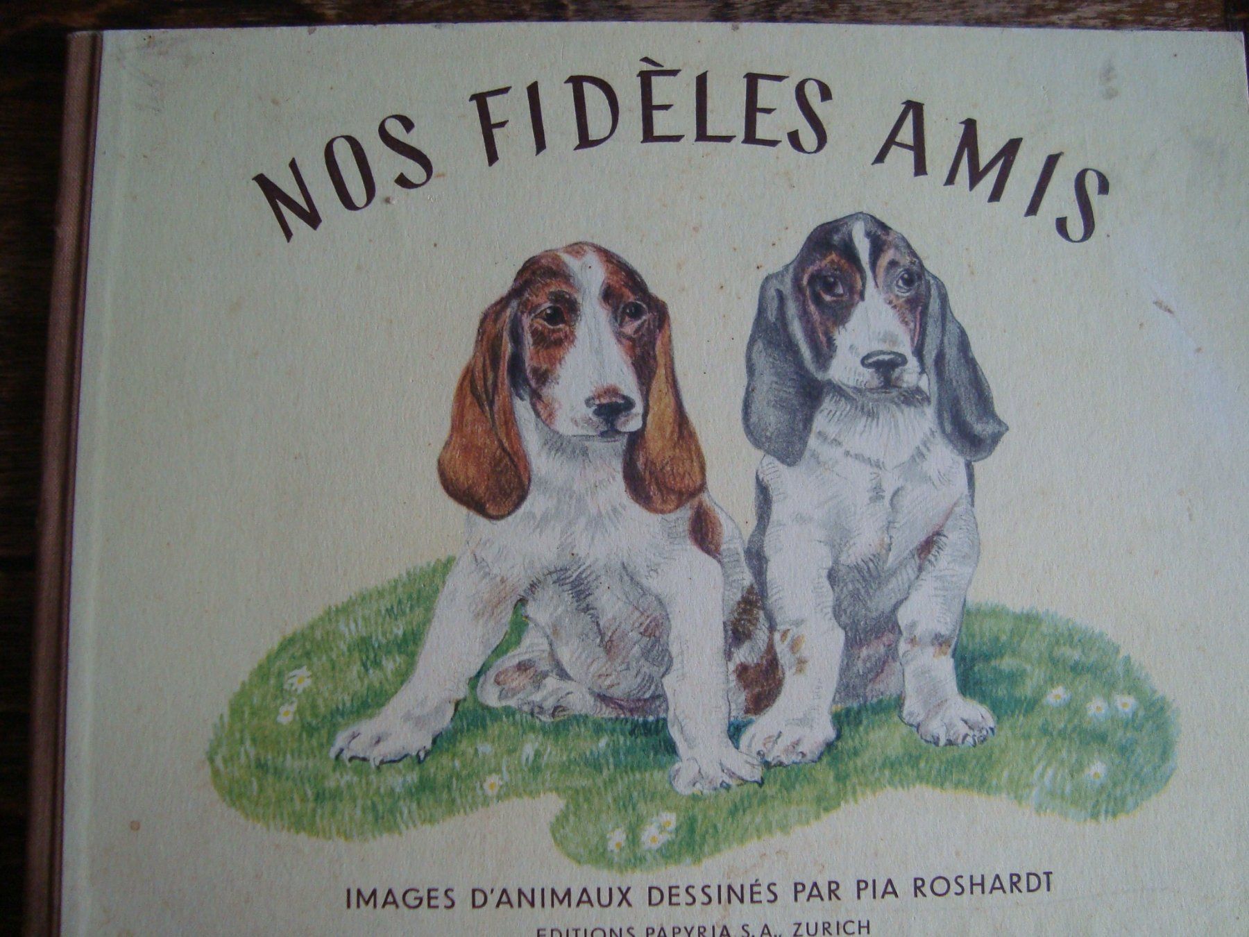 Libri: Nos fidèles amis – Usato da Fribourg venduto da ruswil007