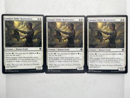 Juniper Order Rootweaver, 3x MTG Karten, Top Zustand!