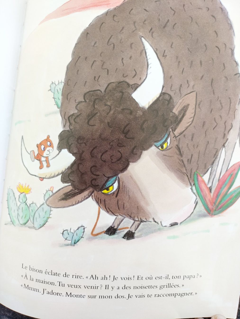 Libri: Le bison Catharina Valckx – Usato da Cortaillod venduto da rozinna 9