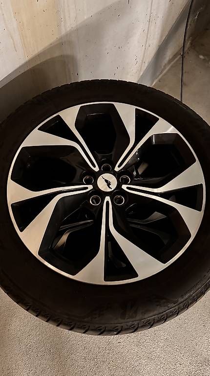 Pneus & Kompletträder: Ford Mustang Mach-e Räder – Gebraucht aus Berg SG von michi.haegele