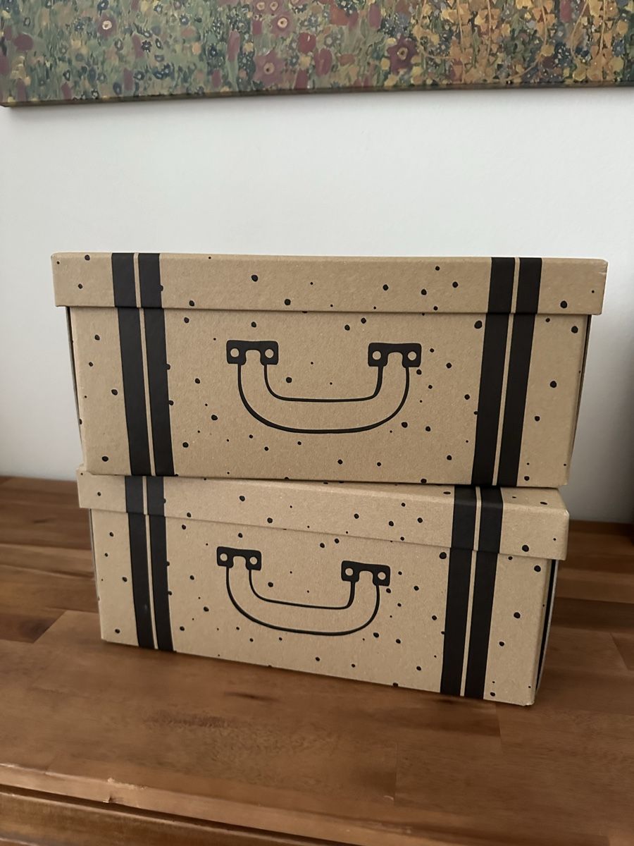 Contenitori & Simili: Aufbewahrungsboxen mit Deckel – Nuovo (secondo la descrizione) da Uitikon Waldegg venduto da MGC 2