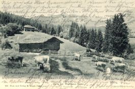 Waldhaus-Flims   GR  -  Alpen-Idylle      um  1 9 0 5