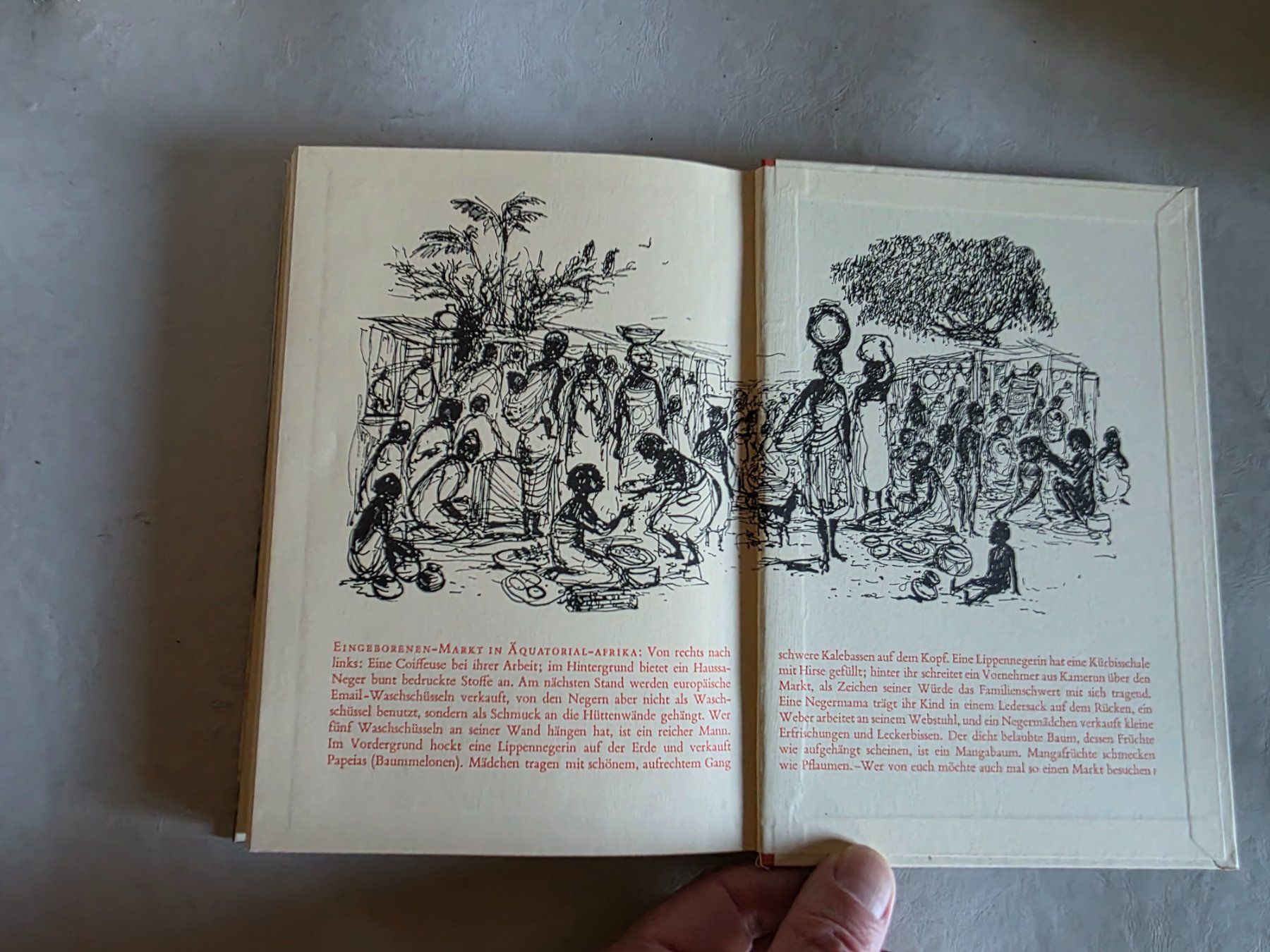 Libri: Durch Steppen und Urwald - Helmut Knorr - 1954 – Usato da Walterswil BE venduto da Lonitti 1
