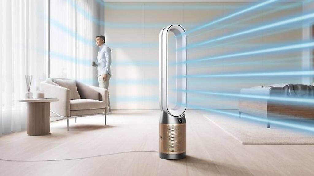 Luftreiniger: Dyson Purifier Cool – Gebraucht aus Basel von ann_cq59 2
